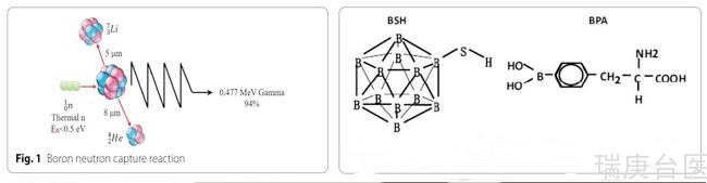 BNCT | 硼中子俘获疗法对所有癌症吗？能治愈吗？