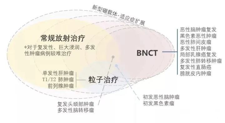 BNCT | 儿童恶性脑临床治疗