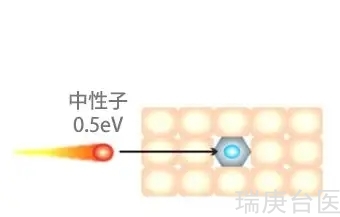 BNCT | 治疗无功能垂体腺瘤新方法