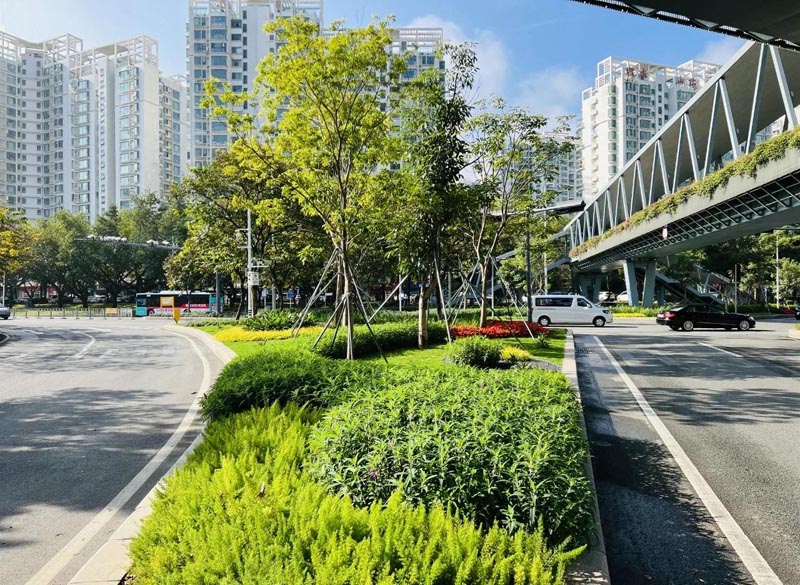 道路綠化工程
