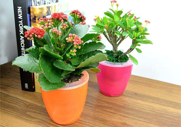 Cloud Zoom small image