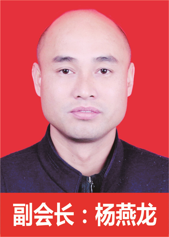 副会长 杨燕龙