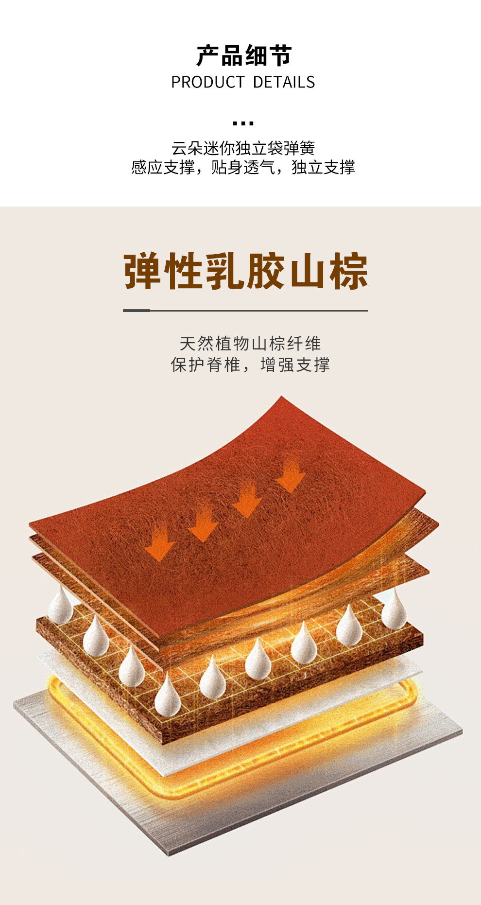 S5一品棕师_03.jpg