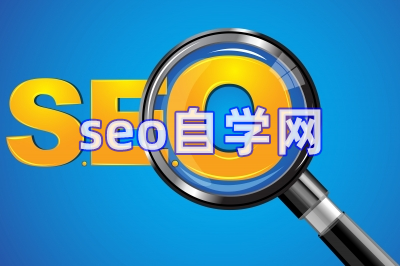 seo自學(xué)網(wǎng)視頻教程