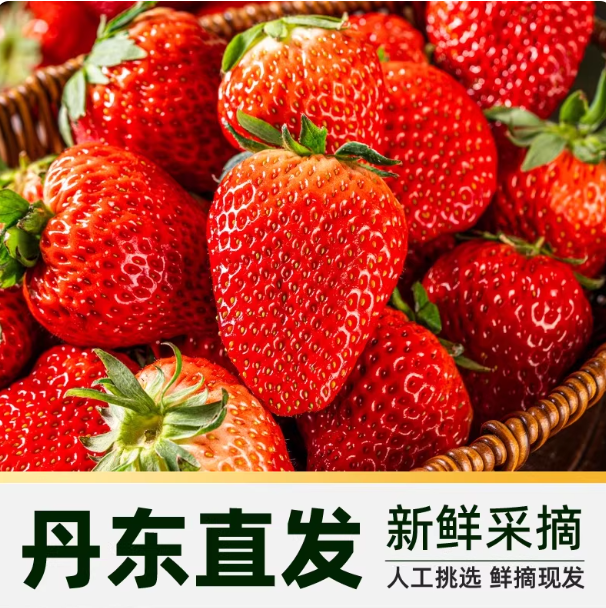 丹东99红颜草莓辽宁东港九九奶油草莓当季新鲜水果丹东产地直发
