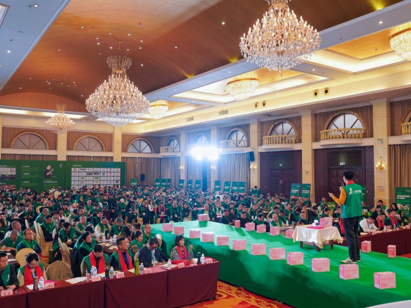 为什么需要商业模式以及如何选择合适的商业模式