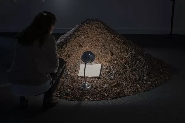 《分割之线》揭示边界问题：通过当代艺术探索物理与精神的双重界限