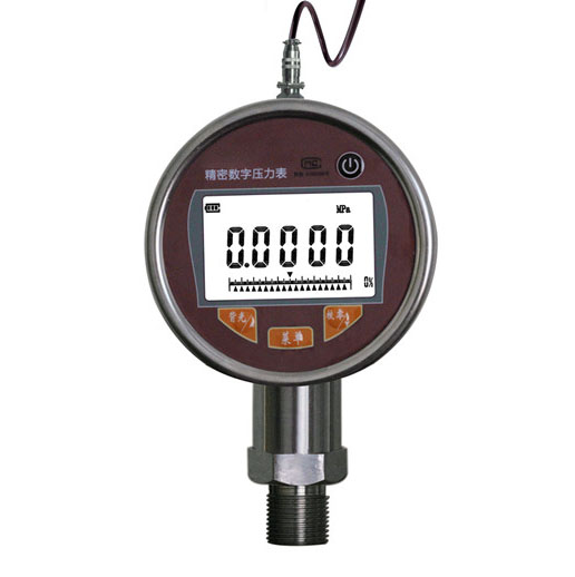 ZN-100D存储型数字压力表